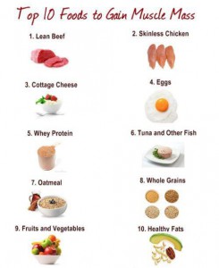 Muscle Building Foods