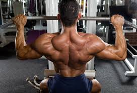 Muscle Building Tips