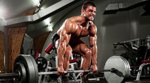 Muscle Building Workouts