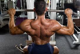 The Best Muscle Building Workout