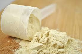 Whey Protein Powder Great Food