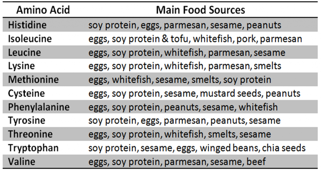 amino acids sources