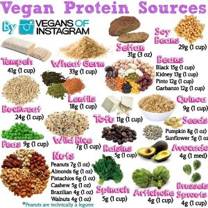 vegan protein