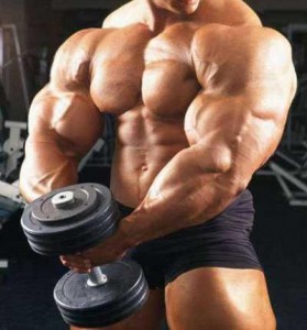 bodybuilding workouts for size