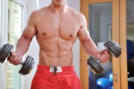muscle building excersice