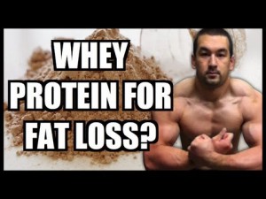 whey protein fat weight loss