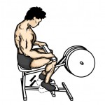 Workout Seated Calf Raise
