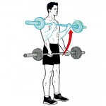 standing reverse curls